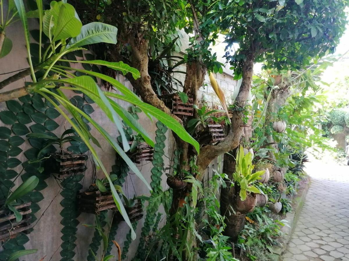 Coliving Bali SWEET HOME Kost Lengkap di Tabanan Kota Bagian luar foto