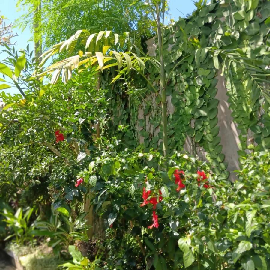 Coliving Bali SWEET HOME Kost Lengkap di Tabanan Kota Bagian luar foto
